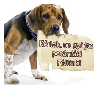 a kutya